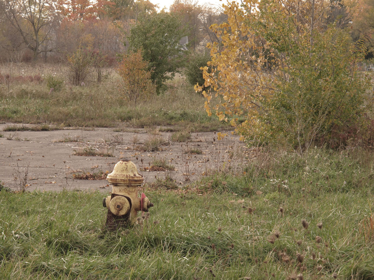 fire hydrant - Niagara Falls, NY Oct. 2012