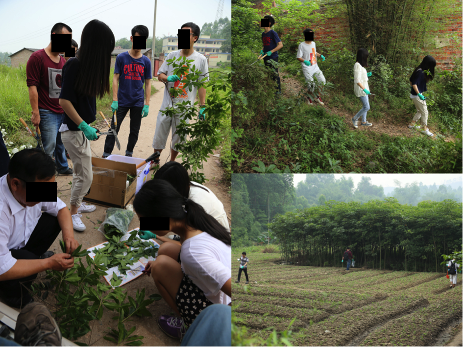 Figure 5 - students collecting samples 1