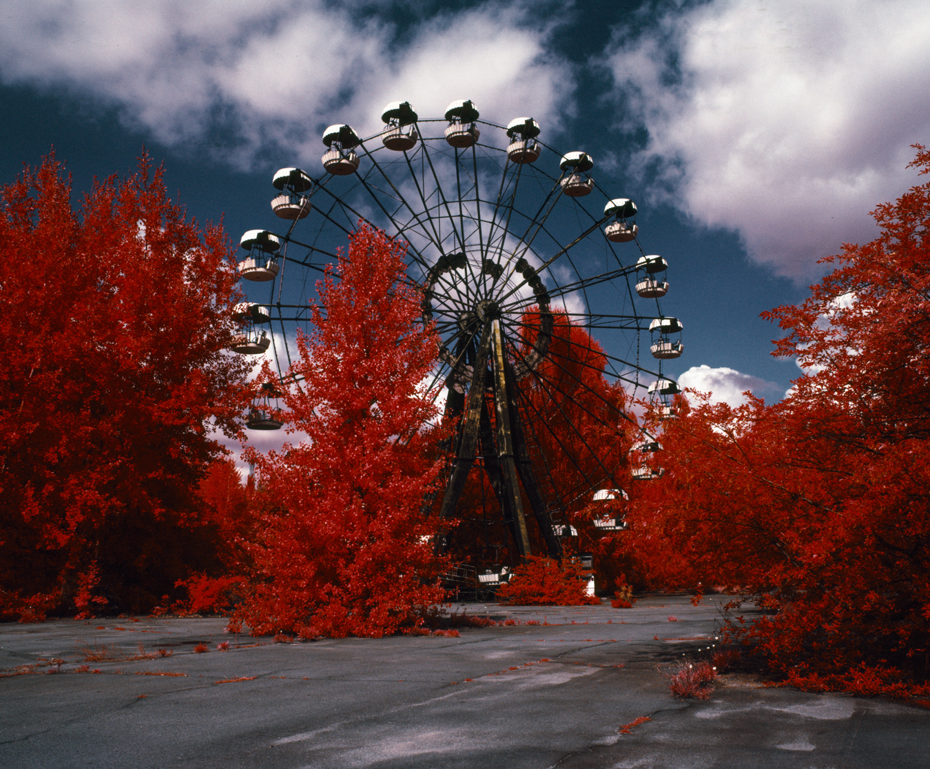 The Red Forest - From the Invisible series.