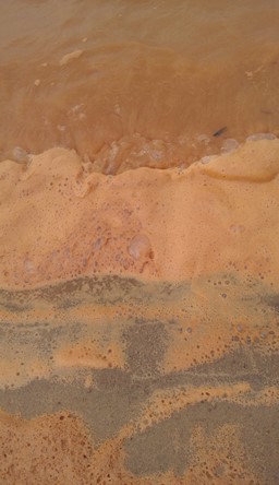 Creado image 5- foam from Samarco's orange